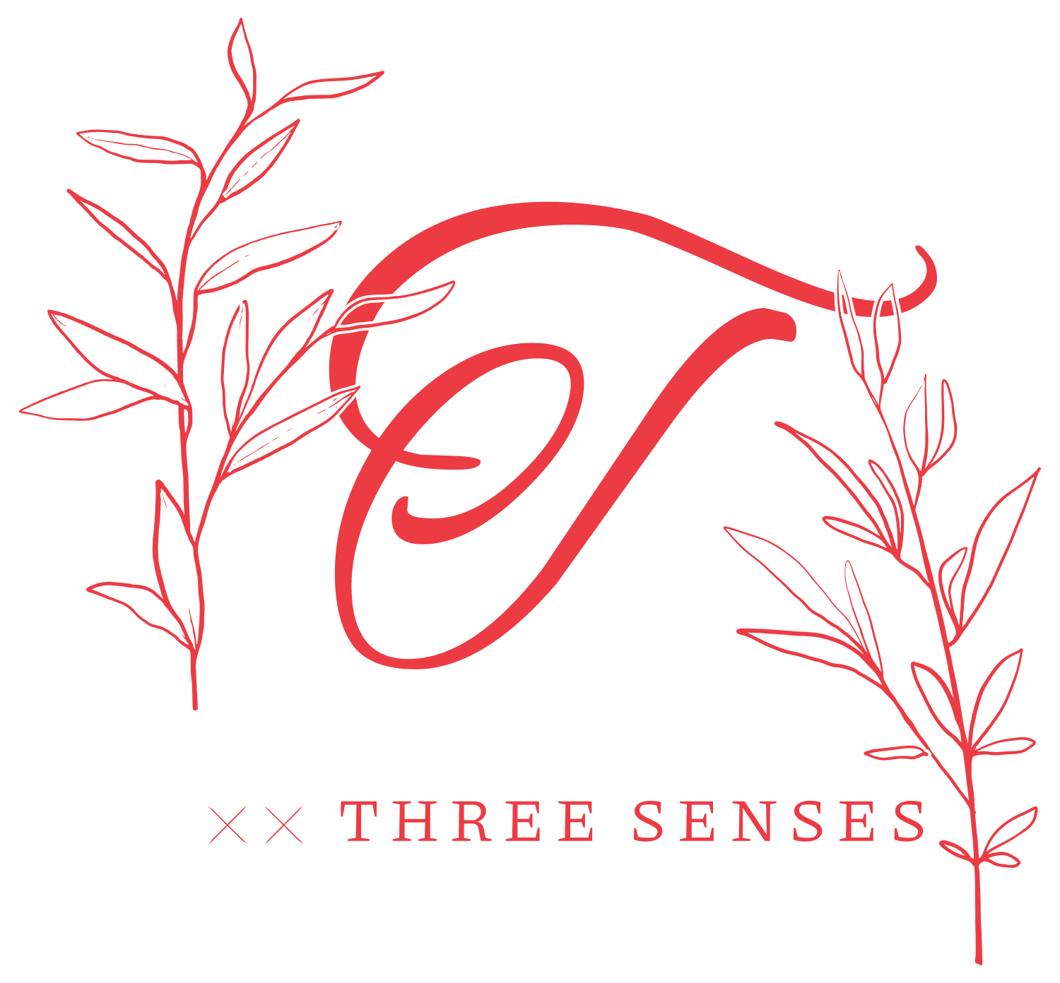 三覺發展有限公司 Three Senses Company Limited